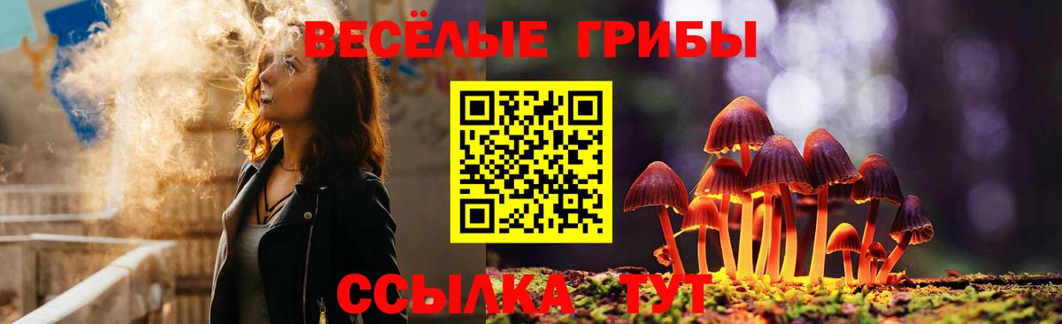 Реутов  Псилоцибиновые грибы мицелий  Вход с VPN 